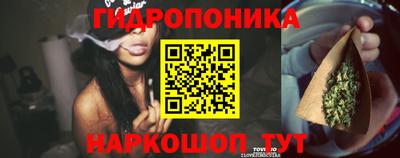 СК Лесосибирск