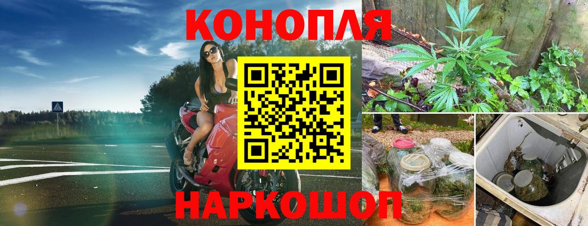 Бошки Шишки сатива Копейск